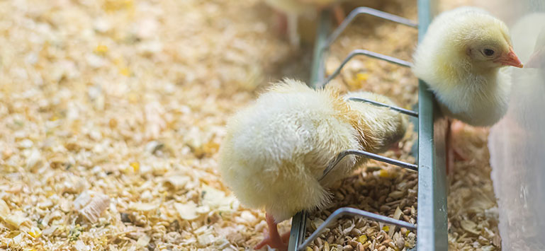 尊龙凯时人生就是博·(中国)官网