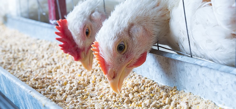 尊龙凯时人生就是博·(中国)官网