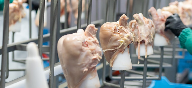 尊龙凯时人生就是博·(中国)官网