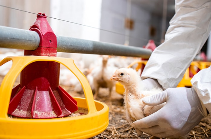 尊龙凯时人生就是博·(中国)官网