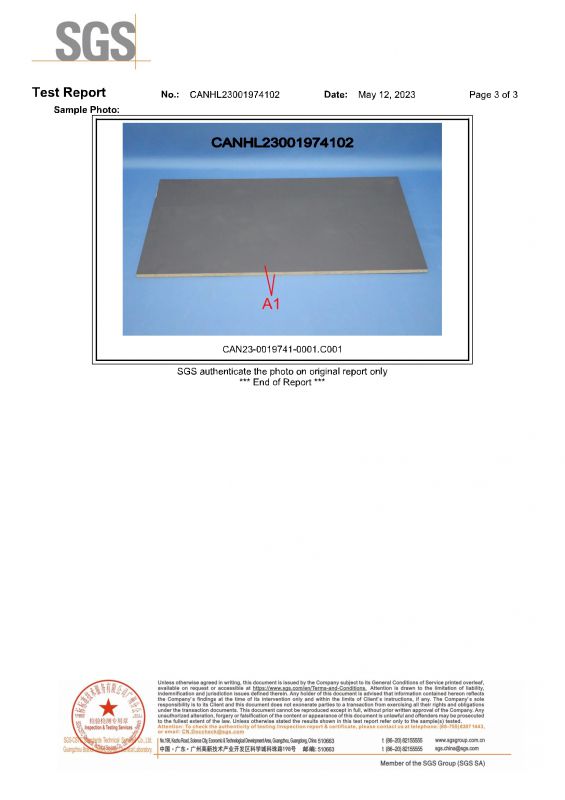 2023SGSZ6尊龙凯时家居检测汇报英文版