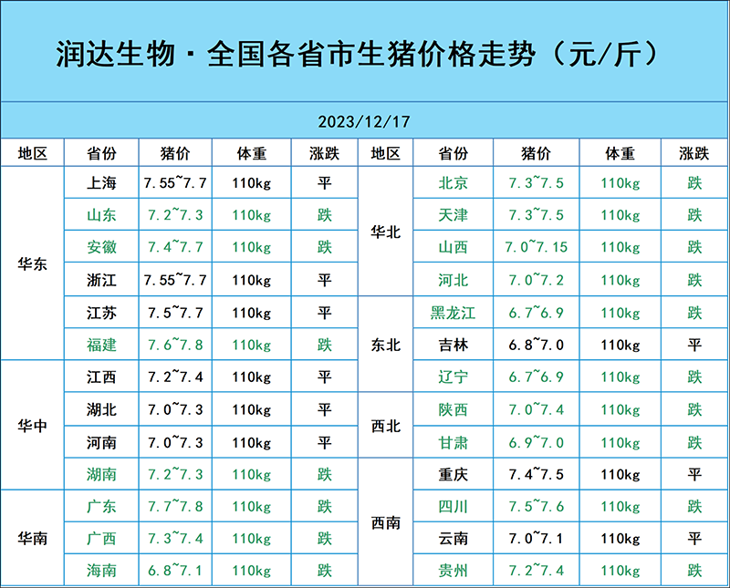 12月17日猪价行情