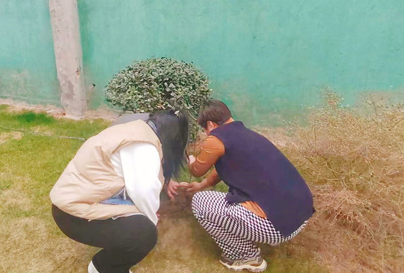  播种希望·拥抱春天||尊龙凯时生物起劲开展植树节活动