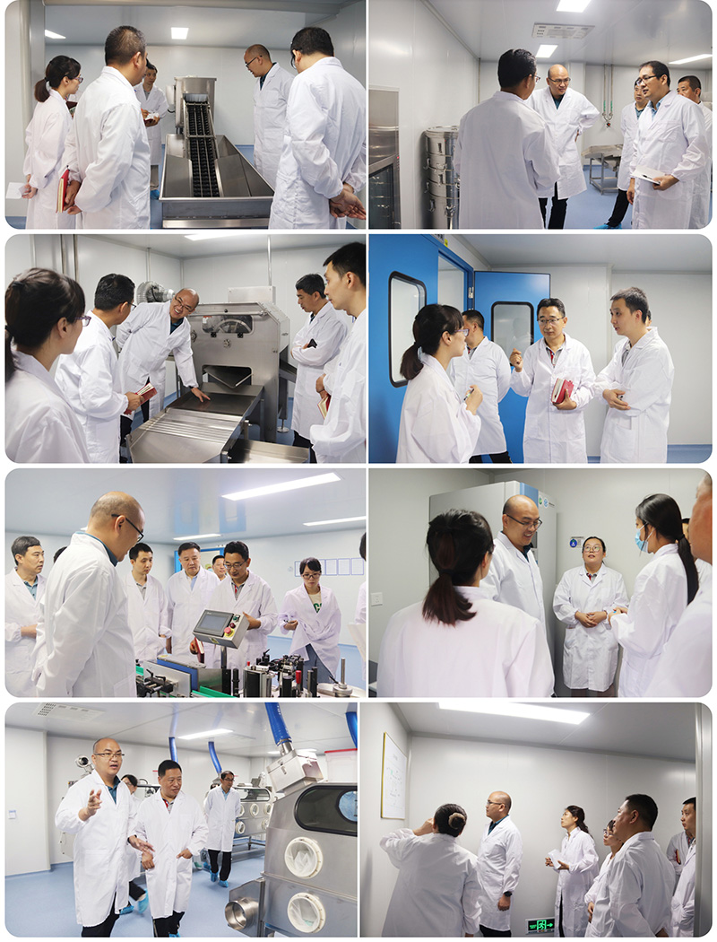  热烈祝贺尊龙凯时生物顺遂通过卵黄抗体GMP静态验收