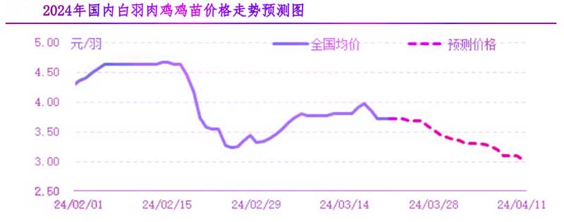 肉鸡市场下周行情展望