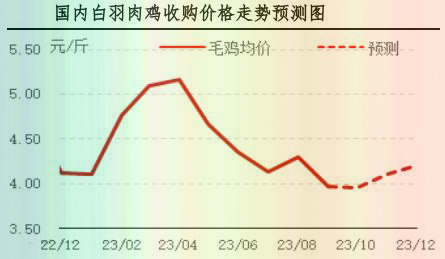 9月肉鸡市场行情剖析及10月行情展望