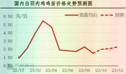 9月肉鸡市场行情剖析及10月行情展望