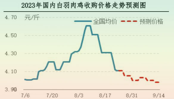 肉鸡市场行情汇总