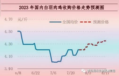 肉鸡市场行情汇总