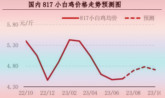 7月肉鸡市场行情剖析及8月行情展望