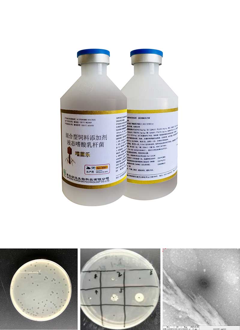 怎样有用治疗对虾养殖中的细菌性疾？