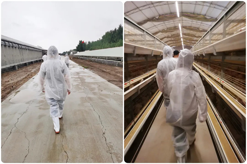 热烈接待泰国客户莅临尊龙凯时生物旅行考察